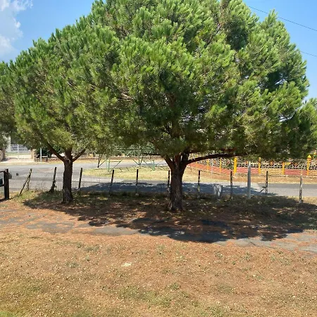 Casale Colle Dei Pini Apartment